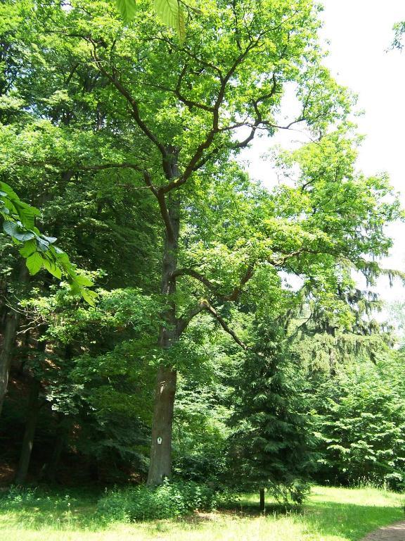 Ferienwohnung Im Stieg 4 Quedlinburg Εξωτερικό φωτογραφία